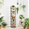 A tall, multi-tiered wooden plant stand filled with various potted plants, placed against a white wall. Produktbild-Vorschau