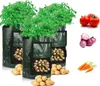 3 Stück Pflanztasche Kartoffel Tomaten Erdnüsse Pflanzsack Produktbild-Vorschau 1