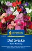 Kiepenkerl Duftwickensamen Bunte Mischung Lathyrus odoratus Produktbild-Vorschau 3