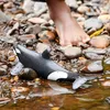 schleich 14807 Orka Produktbild-Vorschau 2