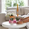 Kolibri Orchids Bílá orchidej Phalaenopsis – Nazaré – Náhled obrázku produktu 8