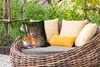 MuchoWow® Outdoor Kissen - Tiger - Tiere - Wald - Dschungel Produktbild-Vorschau 3