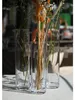 Dekoglas, Vase ZYLINDER SOLIFLEUR Cold Cut H 20cm D 6cm Produktbild-Vorschau 3