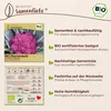 Samenliebe  Blumenkohl Samen | Di Sicilia Violetto - Produktbild-Vorschau 3