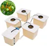 A hydroponic growing system with multiple containers and tubing, with a small inset image of tomatoes on the vine. Produktbild-Vorschau