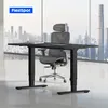 Scrivania elettrica FlexiSpot regolabile in altezza Anteprima dell’immagine prodotto 2