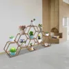 Support pour plantes, grande étagère en bois pour plantes, Voir les images du produit 10