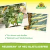 Neudorff Neudosan AF Neu Blattlausfrei 250ml gegen Produktbild-Vorschau 4