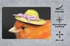 MuchoWow® Schreibtischunterlage Vogel - Hut - Orange 60x40 Produktbild-Vorschau 2