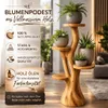 Blumenständer mit 4 Ablagen Blumenpodest Pflanzenständer Produktbild-Vorschau 4