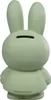 Atelier Pierre Miffy Spardose Eucalyptus Produktbild-Vorschau 2