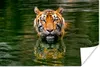 MuchoWow® Poster Tiger im Wasser 180x120 cm - Fotoplakat Produktbild-Vorschau 1