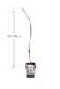 Japanische Säulenkirsche Amanogawa 100–120 cm – Prunus Produktbild-Vorschau 4