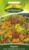 Quedlinburger Studentenblumen Zwerg-Mischung - Blumensamen Produktbild-Vorschau 3