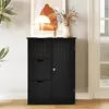 A black storage cabinet with drawers and a door, placed in a room with a plant and artwork in the background. Náhled obrázku produktu