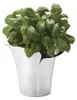 Georg Jensen - BLOOM Botanica Übertopf, 14 cm Produktbild-Vorschau 2