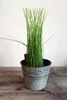 Blumentopf aus Zink mit Ornament, Höhe ca. 10 cm, Ø oben Produktbild-Vorschau 4