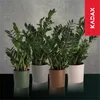 KADAX Blumentopf mit Holzspänen "Lecce", Blumentopfschutz, Produktbild-Vorschau 5