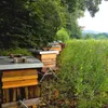 Ein Paar Beutenständer Beutenbock feuerverzinkt Bienen Produktbild-Vorschau 4
