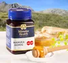A bottle of Manuka honey is displayed with a small bowl of honey and toast in the background, set against a scenic mountain landscape. Produktbild-Vorschau