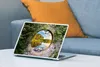 MuchoWow® Laptop Aufkleber Sticker Cover Bäume - Wasser - Produktbild-Vorschau 4