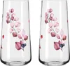Two clear glasses with a floral and berry design. Anteprima dell’immagine prodotto