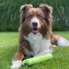 A dog is lying on grass with a toy. Produktbild-Vorschau