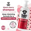 Schwarzkirsch-Hundeshampoo von Buddycare - Produktbild-Vorschau 2