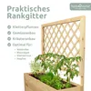 holz4home® Pflanzkasten mit Rankgitter M aus Kiefernholz I Produktbild-Vorschau 3