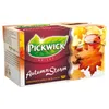 Pickwick Spices Autumn Storm Schwarzer Tee 20 x 2g Produktbild-Vorschau 2