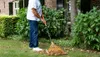 BLACK+DECKER Gartenrechen BXGTTO7001 - 164 x 60 x 3 CM - Produktbild-Vorschau 10