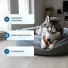 25 Stk Getrocknete Schweineohren Kauartikel Hundesnack Produktbild-Vorschau 4