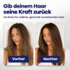 100% Batana Öl 60 ml – Haaröl für Haarwachstum – Gegen Produktbild-Vorschau 4
