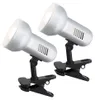 2er Set Klemmstrahler, silber, Spot beweglich, H 21 cm Produktbild-Vorschau 1