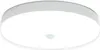 1-W-LED-Deckenleuchte mit Bewegungsmelder, Kaltweiß, IP56 Produktbild-Vorschau 1