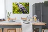 MuchoWow® Poster Eine bunte Wildtaube zwischen den grünen Produktbild-Vorschau 3