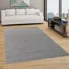 Teppich Wohnzimmer Einfarbig Schlicht Und Modern Kurzflor, Produktbild-Vorschau 2
