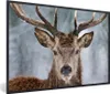 MuchoWow® MuchoWow® Gerahmtes Poster Hirsche - Geweihe - Produktbild-Vorschau 1