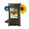 PANTO Sonnenblumenkerne schwarz 2,5kg - für Wildvögel Produktbild-Vorschau 1