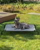 A French bulldog lies on a raised dog bed in a grassy backyard. Anteprima dell’immagine prodotto