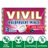 VIVIL Waldfrucht-Minze Pastillen ohne Zucker | 5 x 3er Pack Produktbild-Vorschau 3