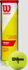 Wilson Tennisbälle Tennis Sport Mannschaft Championship 4er Produktbild-Vorschau 4