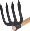 KADAX Houe à pommes de terre avec 4 dents et long manche en Voir les images du produit 10
