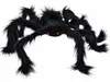 Guirca Spinne 70 Cm    One Size Produktbild-Vorschau 3