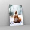 Bilder auf glas - Einteilig - Eichhörnchen Winter Schnee Produktbild-Vorschau 4