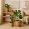 Blumentopf, 3er Set, Schilf, Pflanzentöpfe mit Folie, Produktbild-Vorschau 3