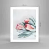 Poster - Poster ohne Rahmen - Blume Eukalyptus Australier - Produktbild-Vorschau 4