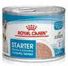 Royal Canin Dose Starter Mousse 195g Produktbild-Vorschau 4