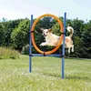 TRIXIE Fun Agility Ring - blau/orange - 115 × ø 3 cm, ø 65 Produktbild-Vorschau 1