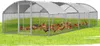 Izrielar Poulailler Poulailler 3x8x2m Rehausse arquée Voir les images du produit 9
